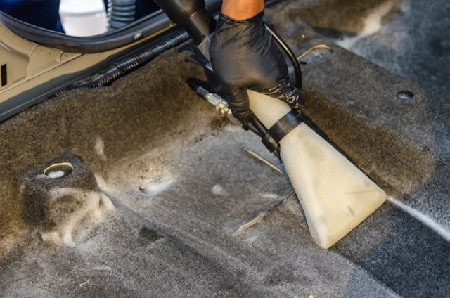 Professional carpet cleaning Tempe
