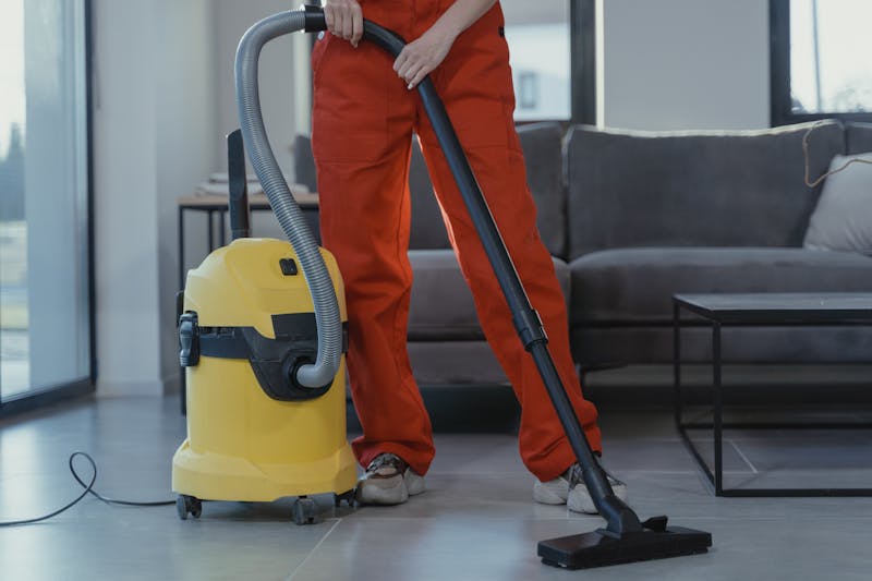 Professional carpet cleaning process